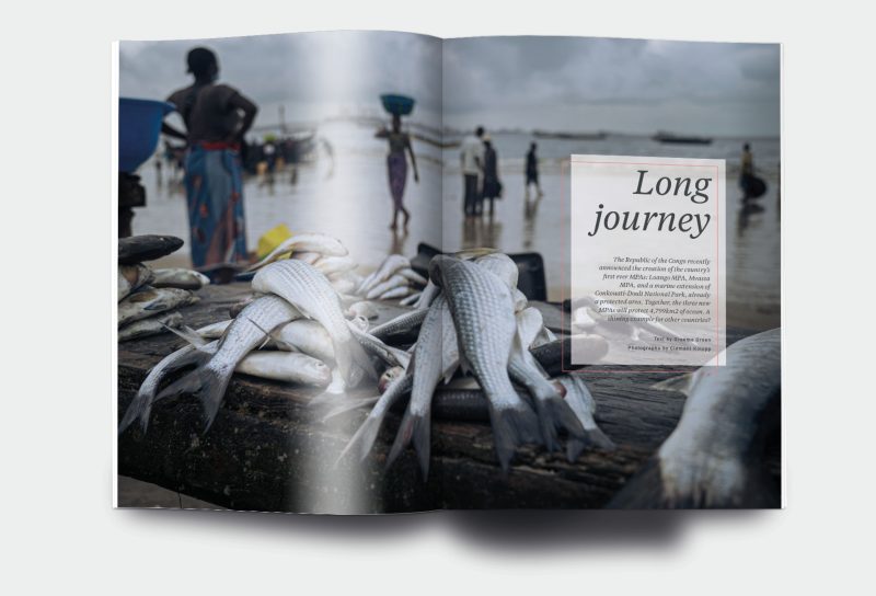 OM_website_ISSUE27_5