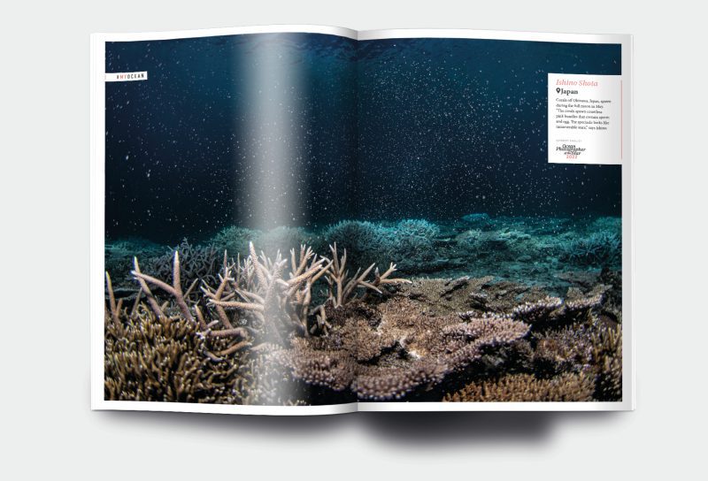 OM_website_ISSUE28_6