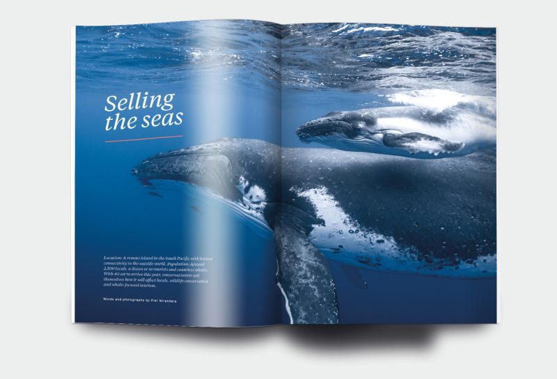 OM_website_ISSUE28_5