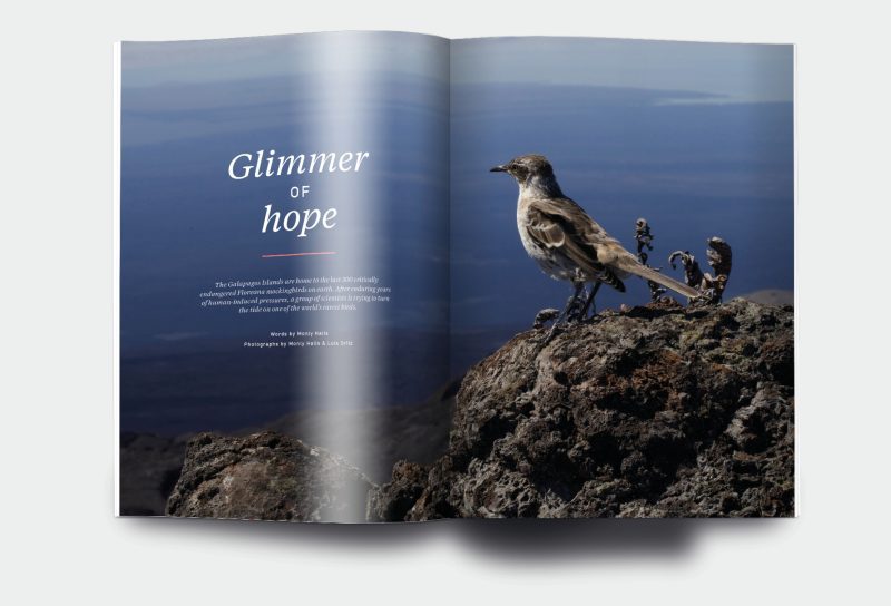 OM_website_ISSUE28_3