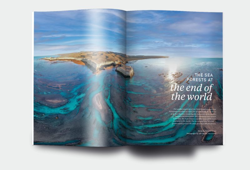 OM_website_ISSUE28_1