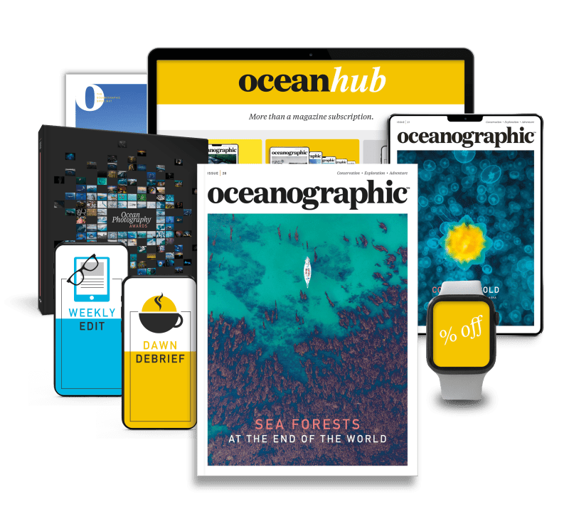 Shop_SUBS_landinggrid_hub_28