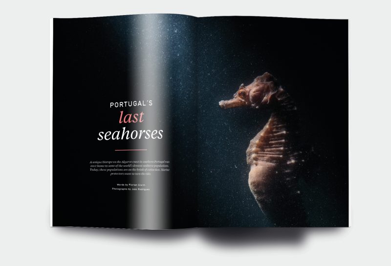 OM_website_ISSUE29_2