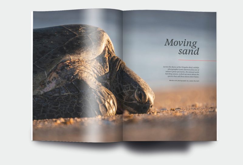 OM_website_ISSUE29_1