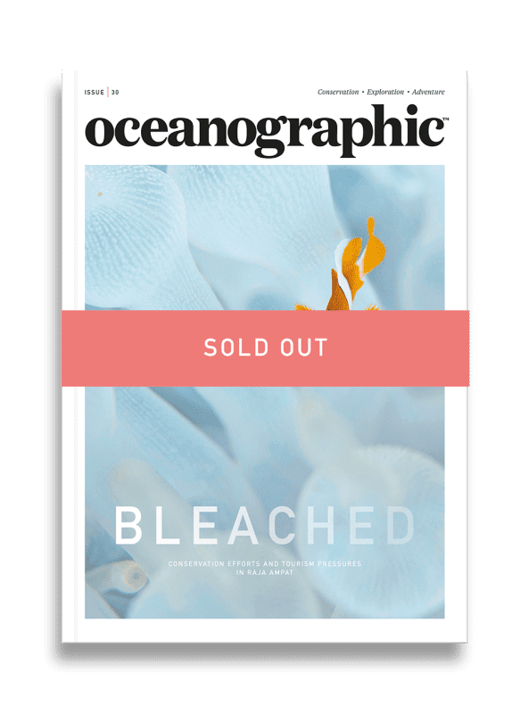 Issue 30 