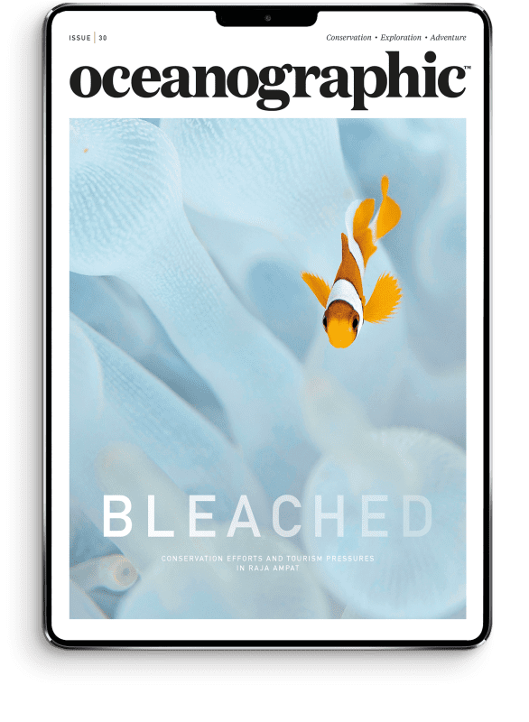 OG_newissueCOVER_master_DIGITAL_newsize_30