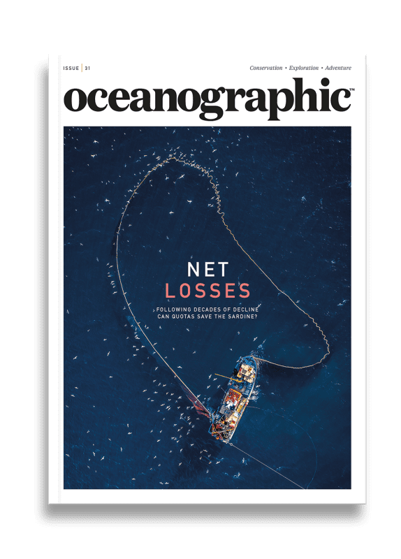 Issue 31 