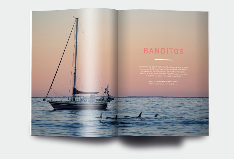 OM_website_ISSUE31_5