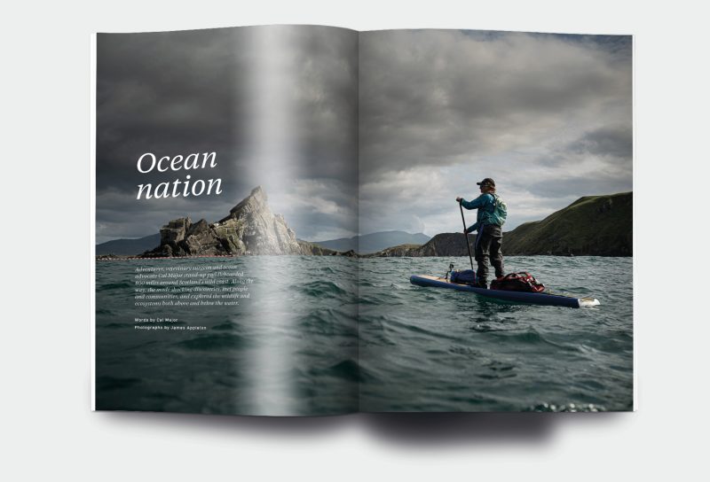 OM_website_ISSUE31_3