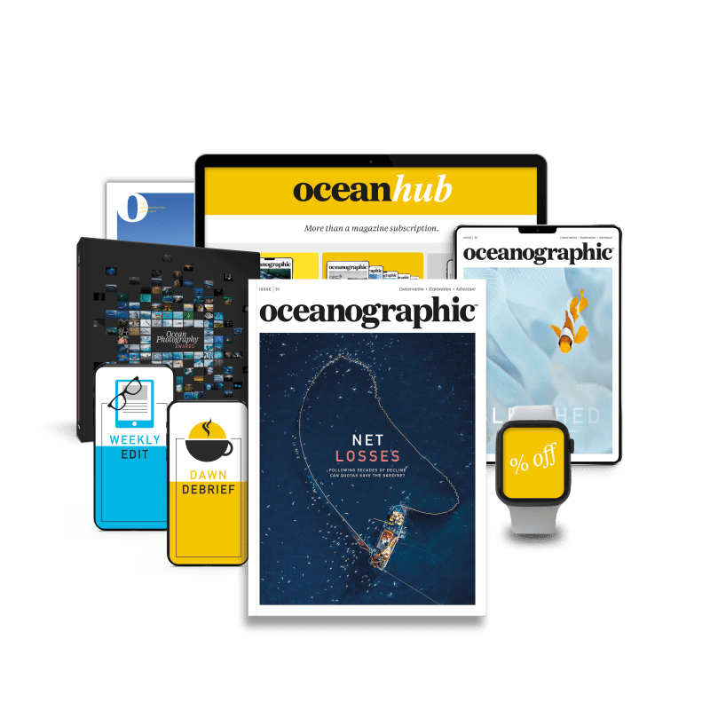 Hub package print_ banner_31