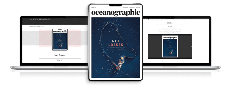 readforfree_issue31_header-2048x779