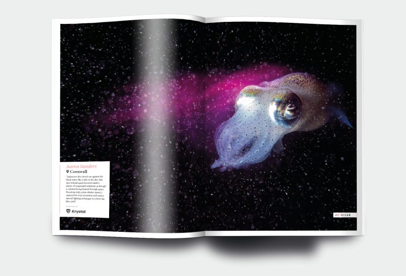 OM_website_ISSUE32_6