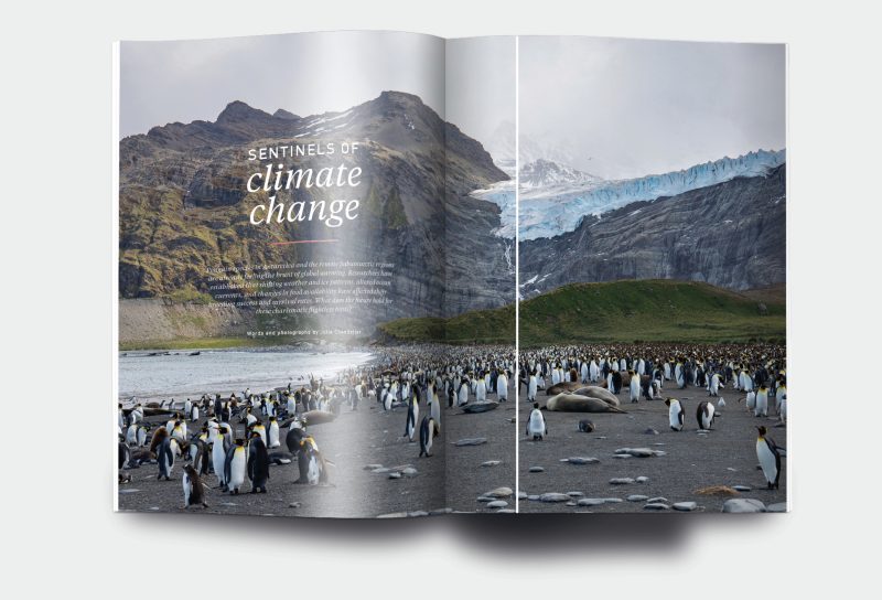 OM_website_ISSUE32_