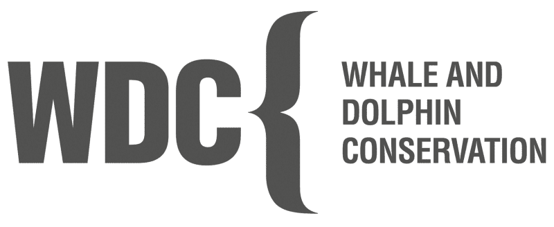 WEBSITE_sponsorlogos_WDC