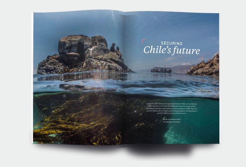 OM_website_ISSUE34_5