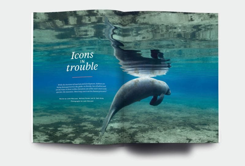 OM_website_ISSUE34_4