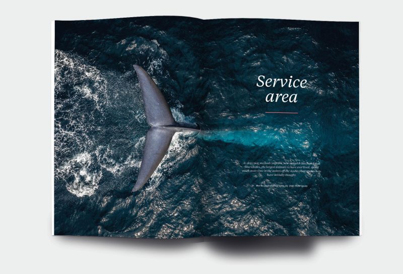 OM_website_ISSUE34_3