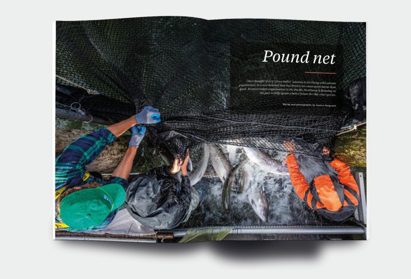 OM_website_ISSUE35_4
