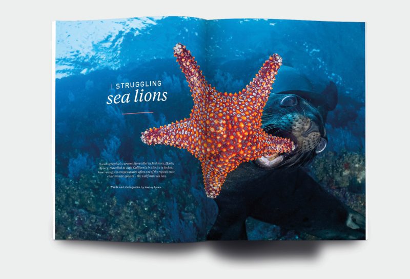 OM_website_ISSUE35_2