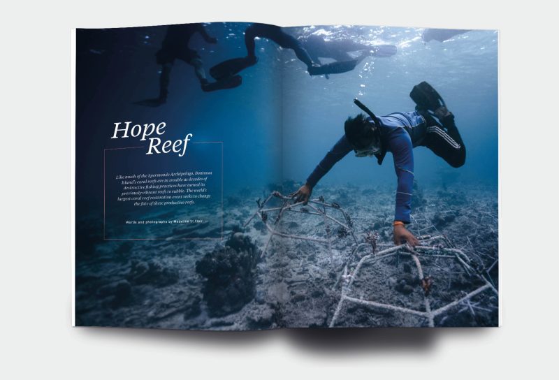OM_website_ISSUE35_1