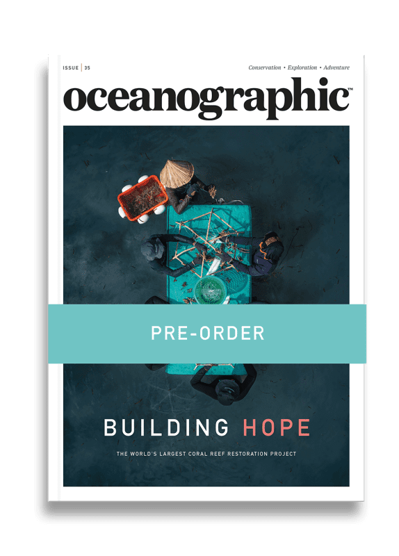 Shop_singleprod_mag_cover_ISSUE35_PREORDER