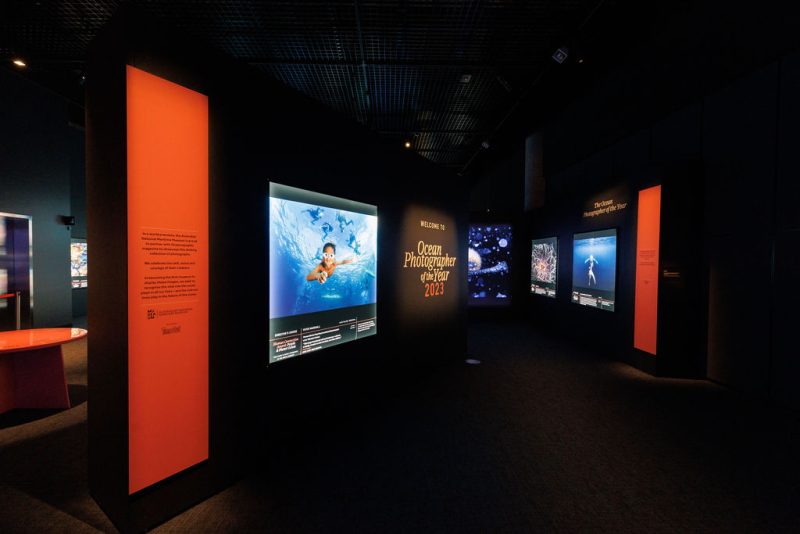 MM29-11-23(C)TimPascoePhoto00065