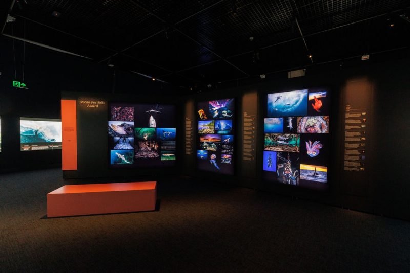 MM29-11-23(C)TimPascoePhoto00086