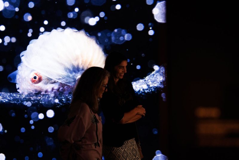 MM29-11-23(C)TimPascoePhoto00538