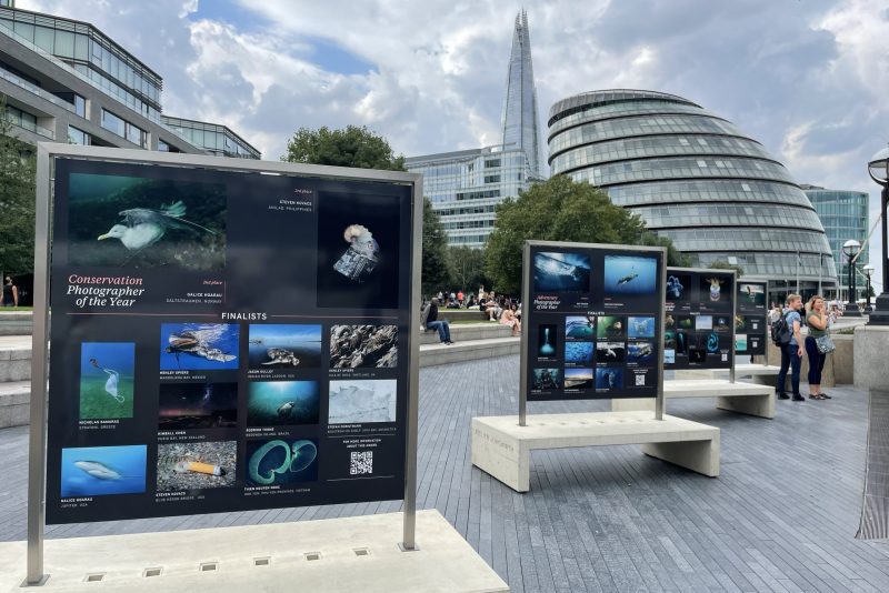 Copy of IMG_7759 copy